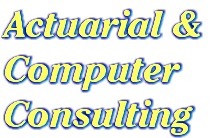 [Actuarial & Computer Consulting]